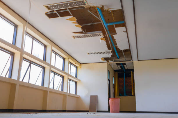 Best Professional water damage repair  in Wantagh, NY