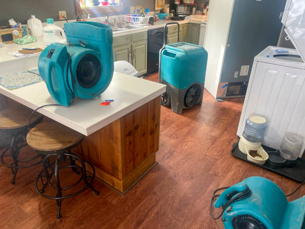 Best Water damage restoration insurance claims  in Wantagh, NY