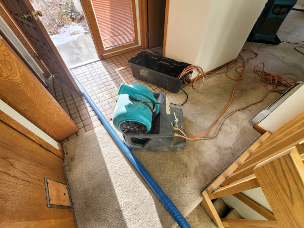 Best Professional water damage repair  in Wantagh, NY