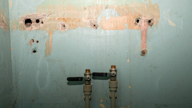 Best Carpet water damage restoration  in Wantagh, NY
